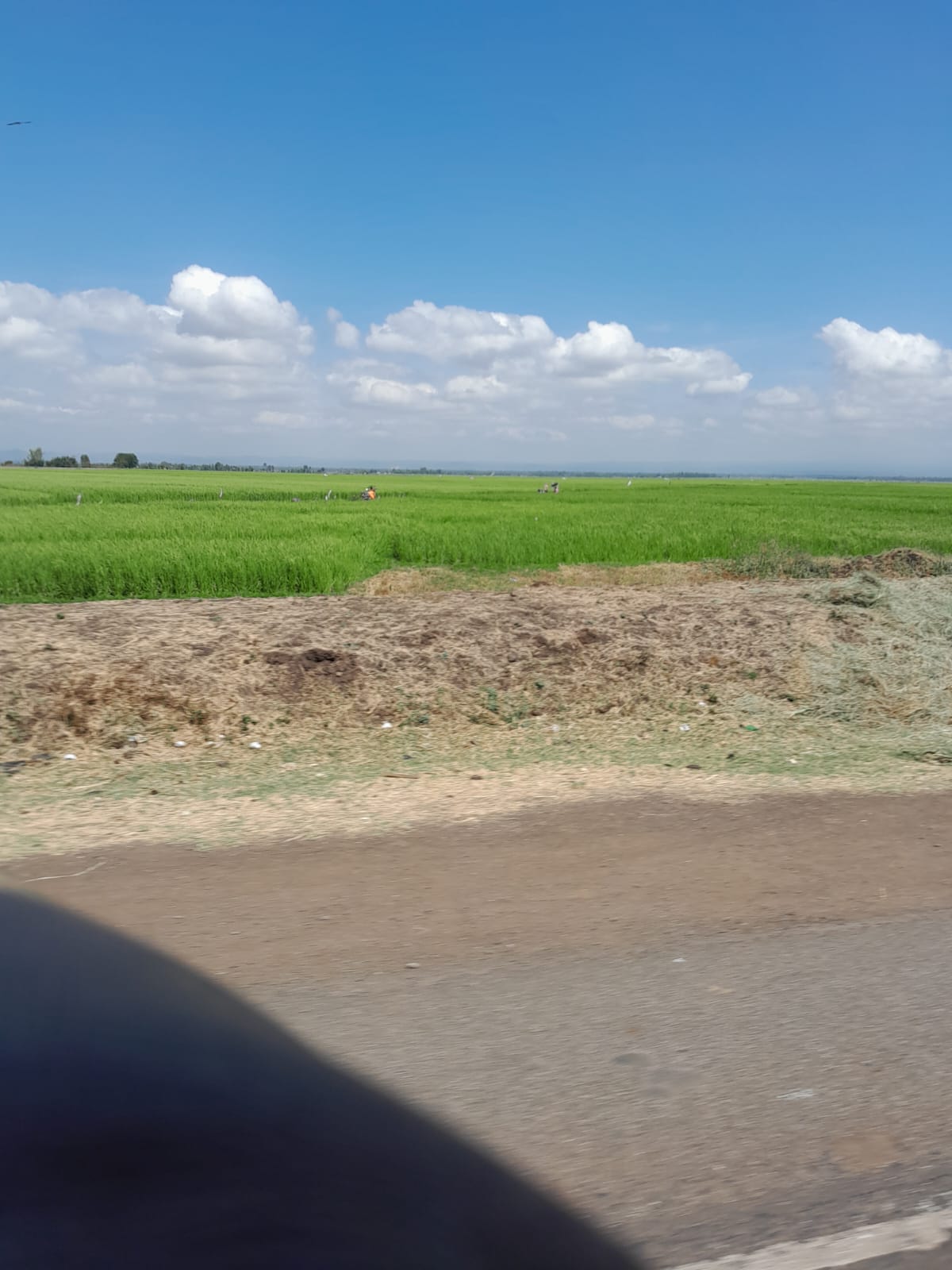 image showing an area practicing irrigation